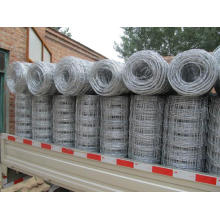 Galvanized Iron Knotted Wire Mesh